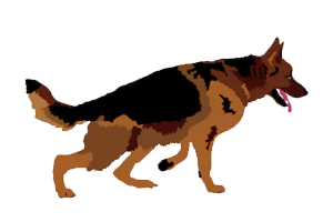 Bed Bug Detection Dog