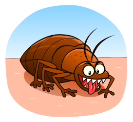 How Do You Get Bed Bugs?